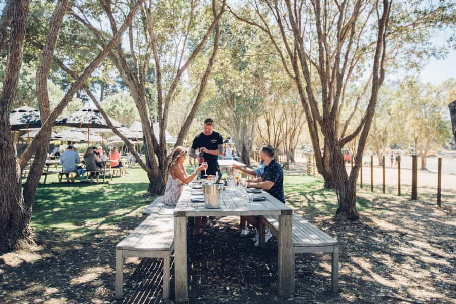 Waiheke Island: Scenic Island Wine Tour & Local Wine Tasting - The five-hour route and its winery stops