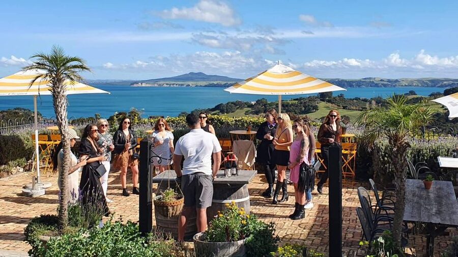 Waiheke Island: Scenic Island Wine Tour & Local Wine Tasting - Where the value has limits