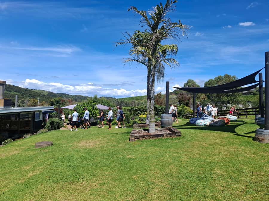 Waiheke Island: Sip and Savor 3 Vineyards Tour with Lunch - First vineyard: begin with the island’s wine style