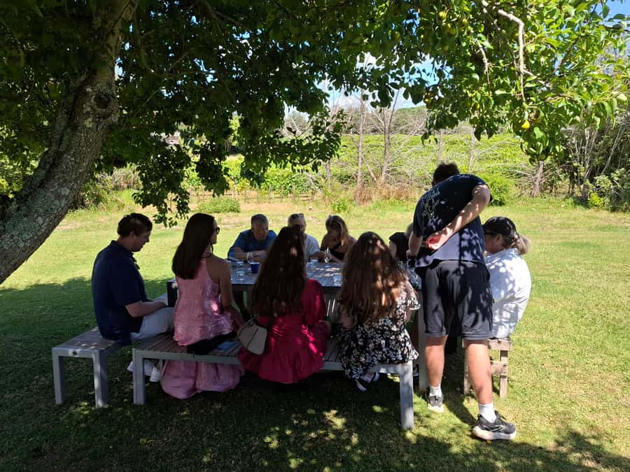Waiheke Island: Sip and Savor 3 Vineyards Tour with Lunch - What is included, and what is not
