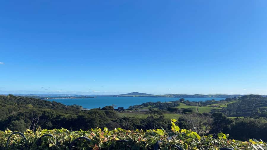 Waiheke Island: The Essence of Waiheke Wine Tour - Key details at a glance