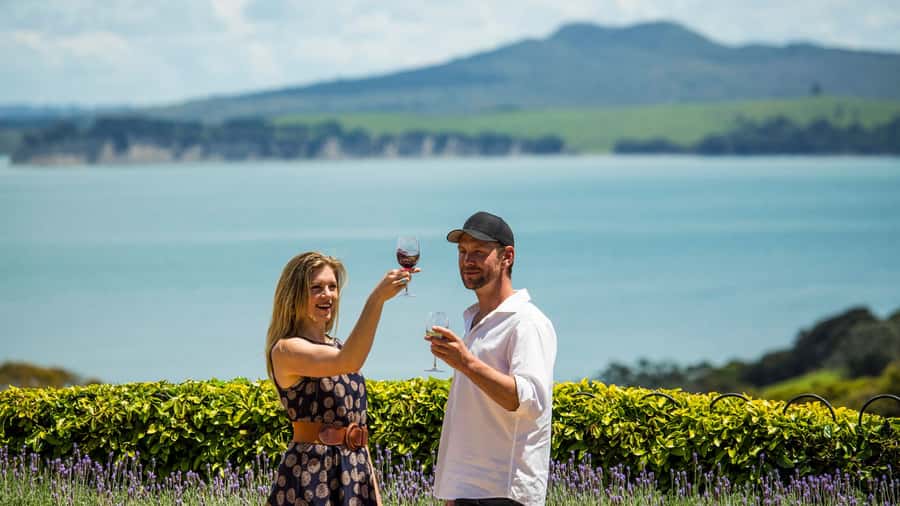 Waiheke Island: The Essence of Waiheke Wine Tour - Who will enjoy this Waiheke wine tour most?