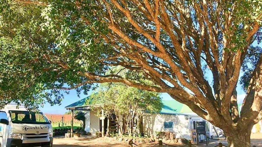 Waiheke Island: The Essence of Waiheke Wine Tour - Smart tips before you book