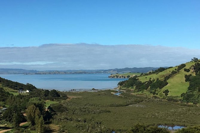 Waiheke Island Vineyards and Bush Walk - Is $279.26 good value?