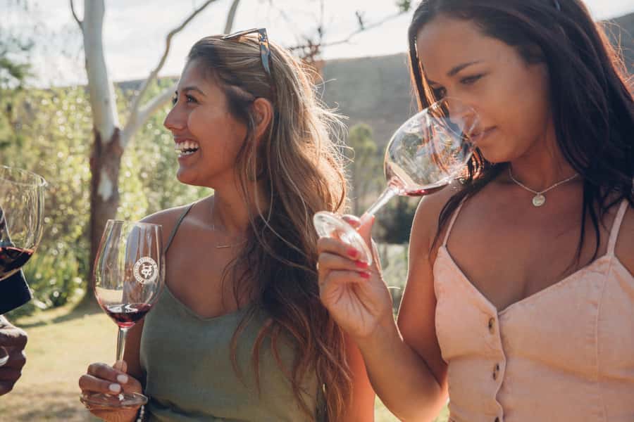Waiheke Island: Wine Tour & Lunch at Award Winning Venue - The guide can make or break the shared van