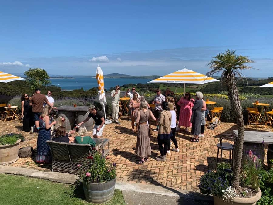 Waiheke Island: Wine Tour & Lunch at Award Winning Venue - What the $173 price really covers