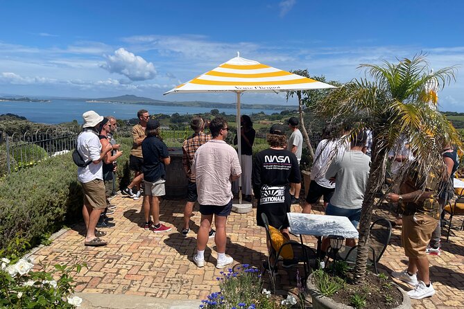 Waiheke Island Wine Tour with Scenic Vineyards & Tastings - Timing, group size, and the real pace