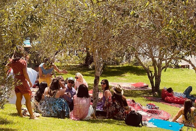 Waiheke Island Wine Tour with Tastings & Gourmet Beachfront Lunch - A long lunch at Three Seven Two on Onetangi Beach
