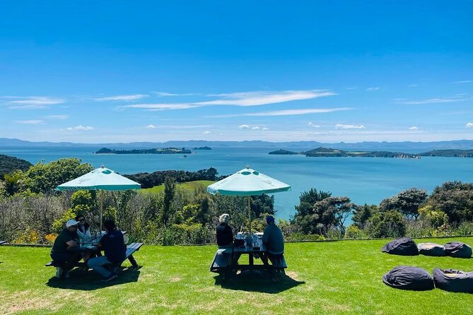 Waiheke Island Wine Tour with Tastings & Gourmet Beachfront Lunch - Stonyridge and the South of France mood