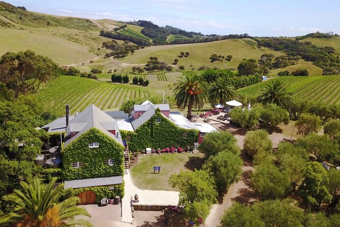 Waiheke Island Wine Tour with Tastings & Gourmet Beachfront Lunch - The final tasting and wide harbour views