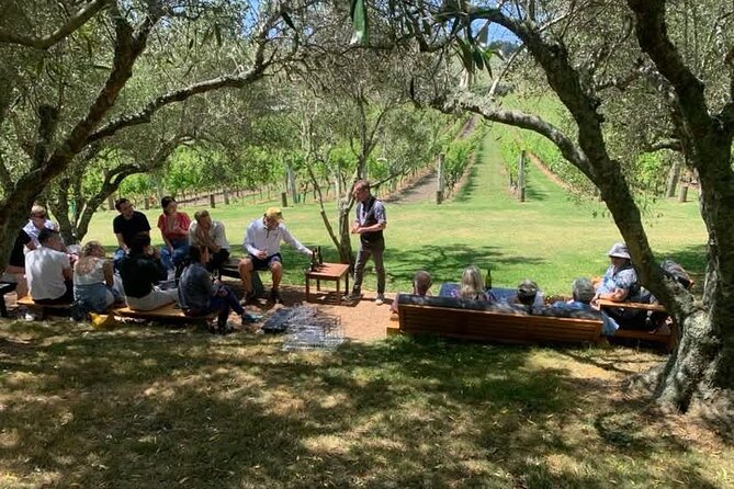 Waiheke Island Wine Tour with Tastings & Gourmet Beachfront Lunch - What the $186.17 price includes