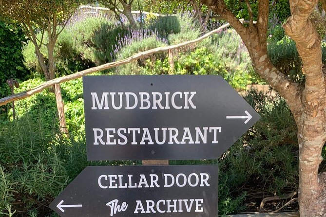 Waiheke Island Wine Tour with Tastings & Gourmet Beachfront Lunch - Ferry timing and other practical advice