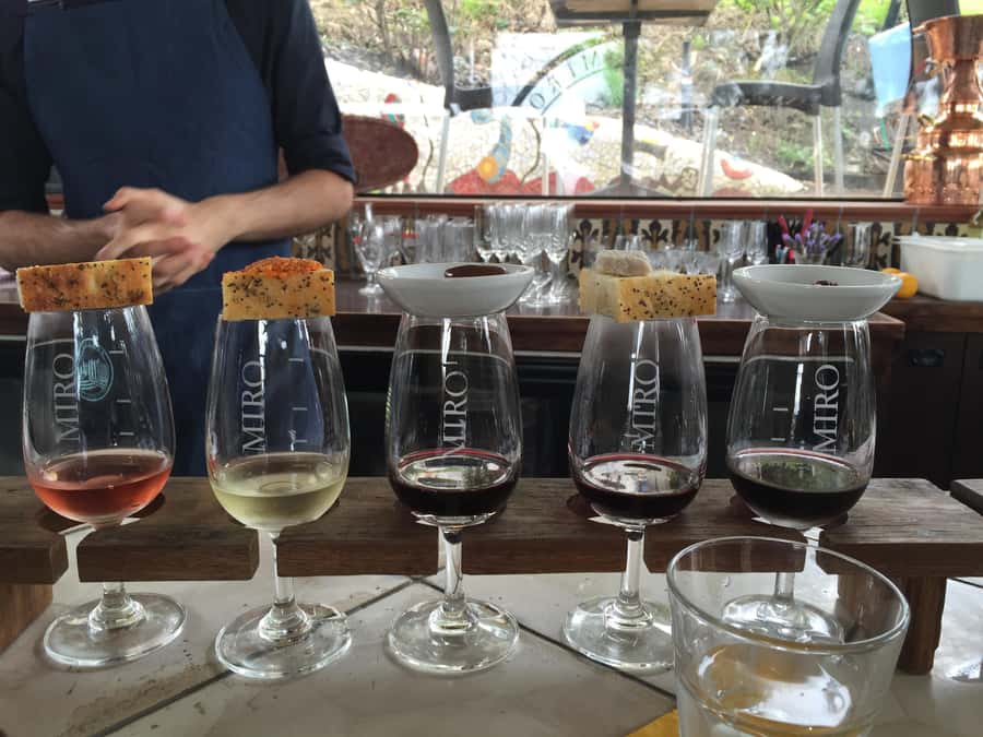 Waiheke Island Wine Tours - PREMIUM Wines - Max 11 clients ! - The best parts of this Waiheke wine tour