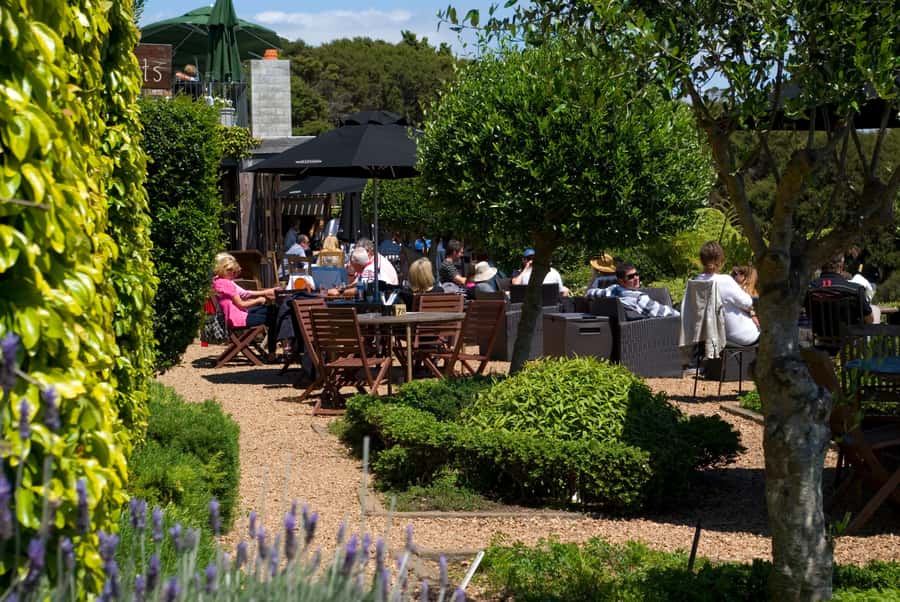 Waiheke Island Wine Tours - PREMIUM Wines - Max 11 clients ! - A scenic introduction to Waiheke