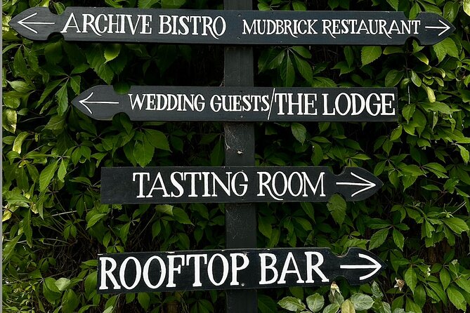 Waiheke island wine tours with Waitiki Tours - Who should book WaiTiki Tours?