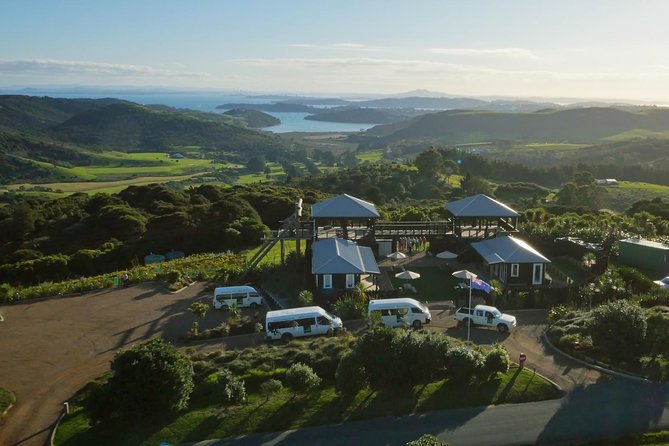 Waiheke Island: Zipline And Forest Walk - Why this Waiheke half-day works well