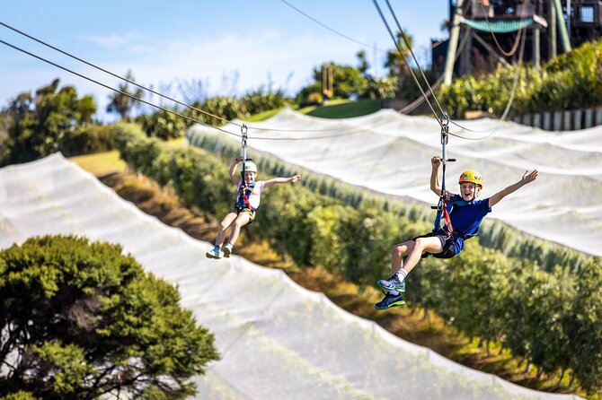 Waiheke Island: Zipline And Forest Walk - Safety, fitness, and height concerns