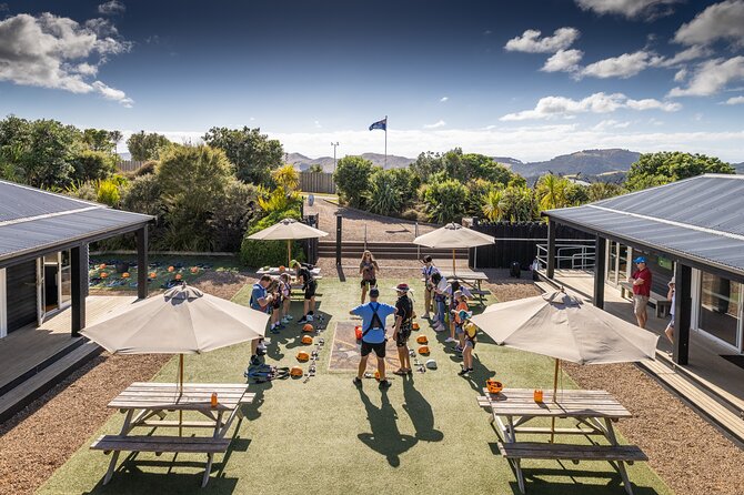 Waiheke Island: Zipline And Forest Walk - From Matiatia Ferry Terminal to Trig Hill