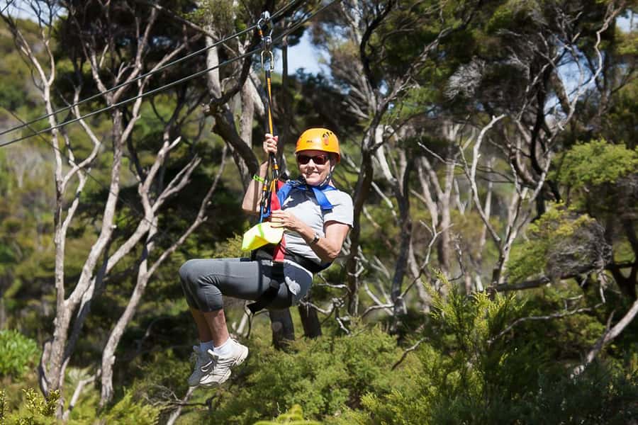 Waiheke Island: Zipline and Native Forest Adventure Trip - Practical planning for a smooth half-day