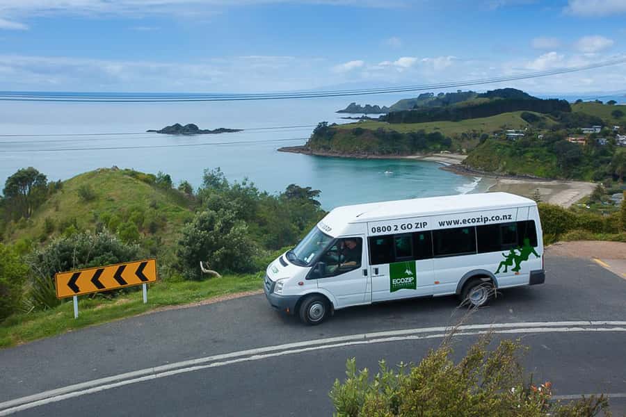 Waiheke Island: Zipline and Native Forest Adventure Trip - The first two lines: a gentle start above the bush