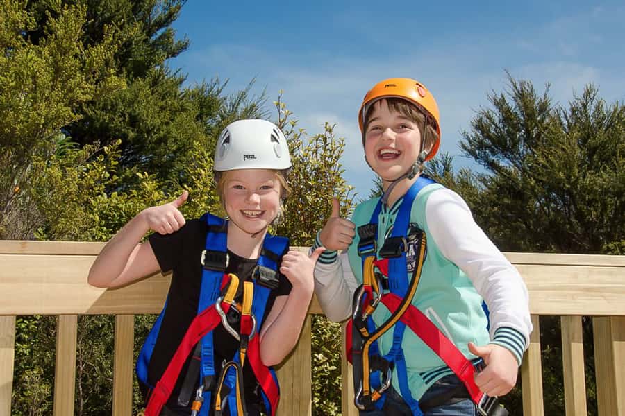 Waiheke Island: Zipline and Native Forest Adventure Trip - Guides, safety, and the tone of the outing