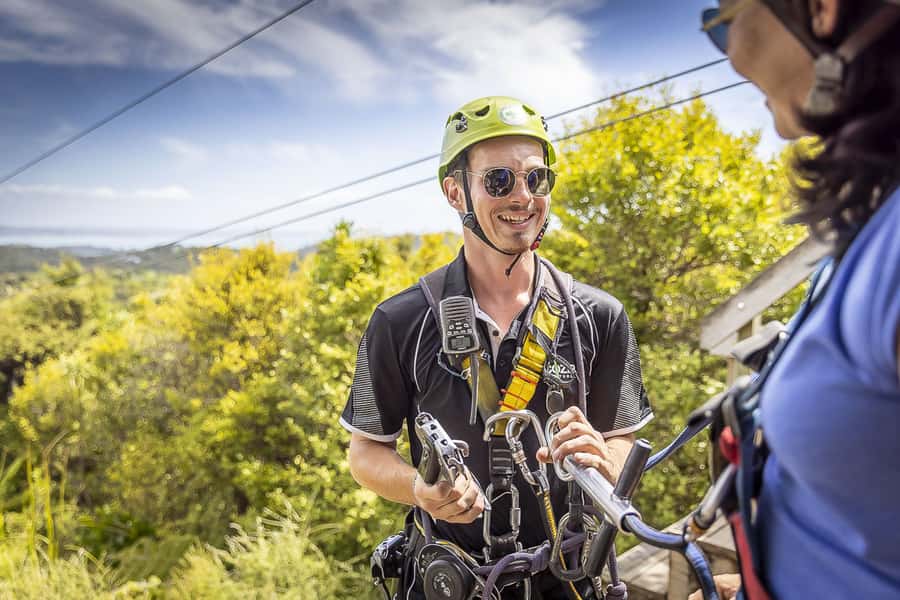 Waiheke Island: Zipline and Native Forest Adventure Trip - Who should book this Waiheke adventure?