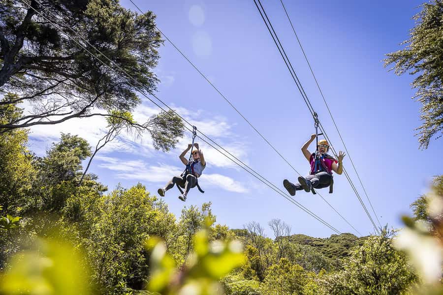 Waiheke Island: Zipline and Native Forest Adventure Trip - Getting ready for three 650-foot zip lines