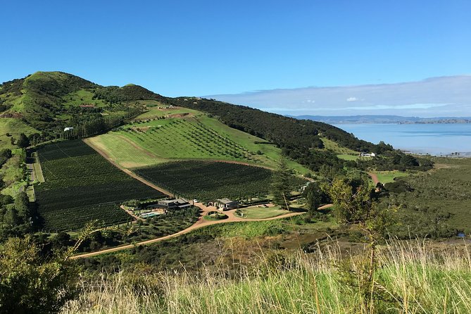 Waiheke Wine and Dine - Batch Winery - Lunch with wine and a seasonal menu