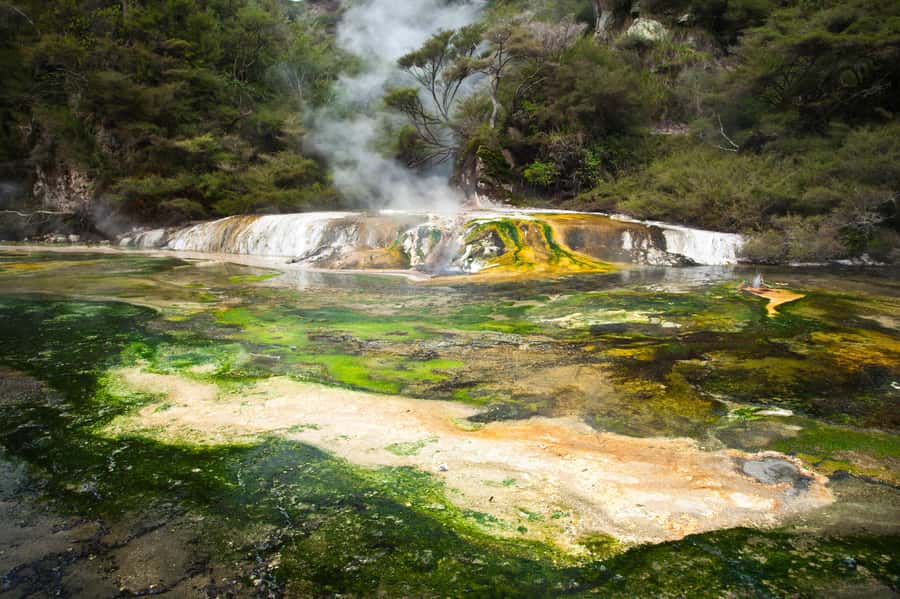 Waimangu: Volcanic Valley Walk and Lake Rotomahana Cruise - From the trail to Ariki Moana