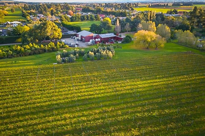 Waipara Valley Winery Tour Wine Tastings and Scenic Views - Scenic value beyond the tasting room