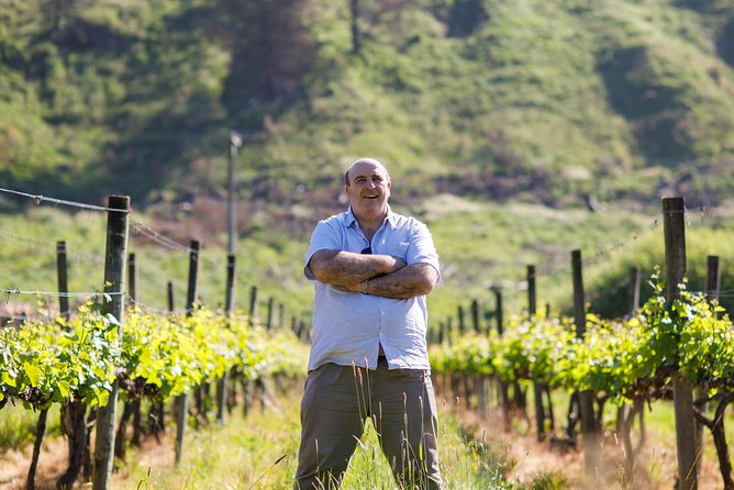 Waipara Wine Experience for 2 or more, inc tastings and lunch - Stop two: Torlesse Wines and the included lunch