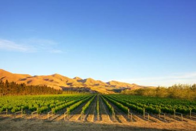 Waipara Wine Tour from Christchurch - including Lunch & Tastings - Torlesse Wines adds variety to the tasting list
