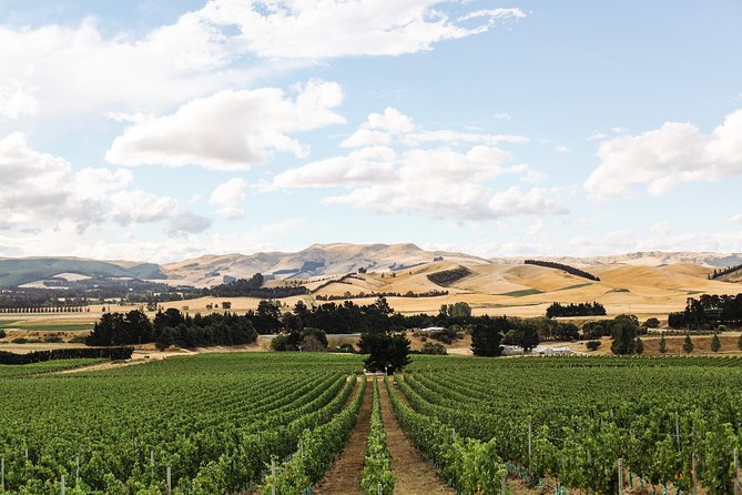 Waipara Wine Tour from Christchurch - including Lunch & Tastings - Pegasus Bay brings a family winery finish