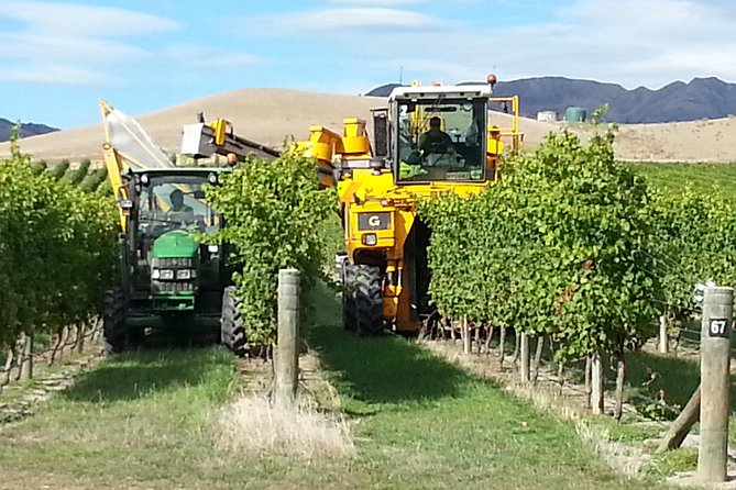 Waipara Wine Tour from Christchurch - including Lunch & Tastings - The winery list is flexible, not fixed