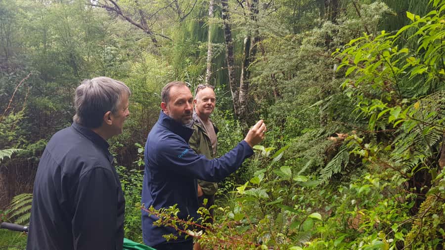 Waitakere Ranges Wilderness Experience Tour from Auckland - What Makes This Tour Worth Your Time