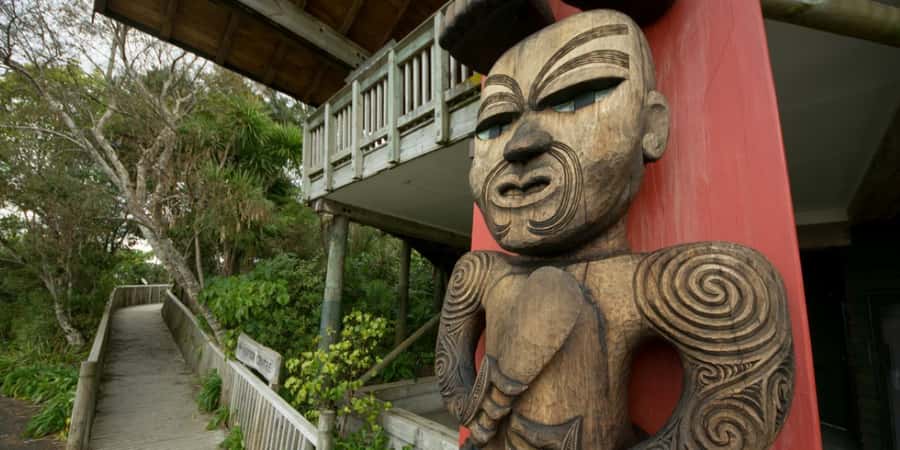 Waitakere Ranges Wilderness Experience Tour from Auckland - The Rainforest Walk: Kauri, Ferns, and Birdsong