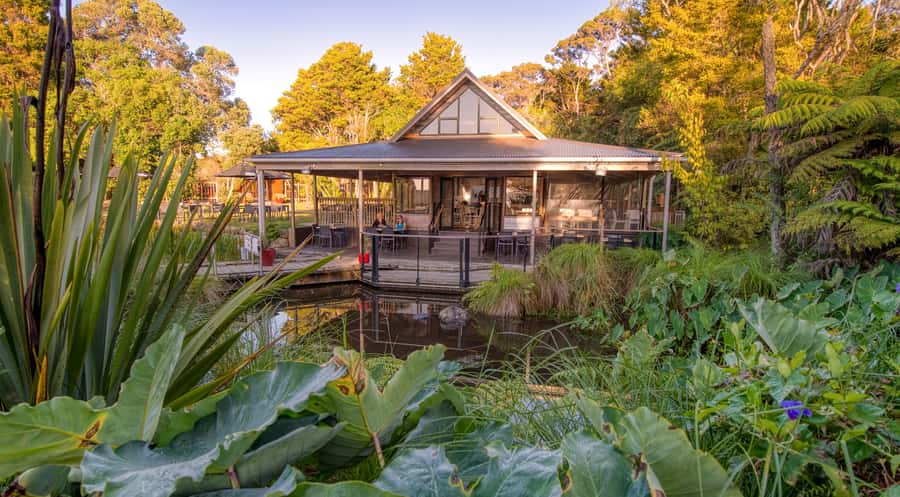Waitangi Treaty Grounds: 2-Day Pass - The Māori cultural performance in the meeting house