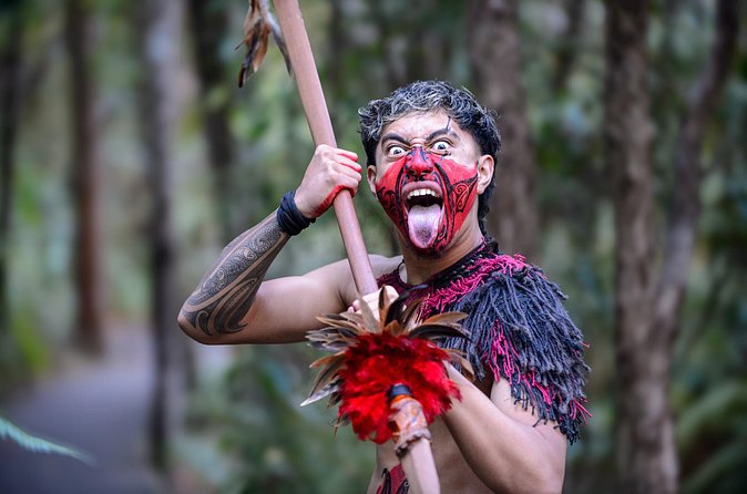 Waitangi Treaty Grounds: Combo Pass (Hāngī + Concert + Admission) - Making the most of daytime admission