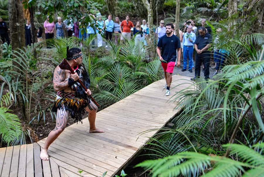 Waitangi: Treaty Grounds Hāngī and Concert Combo Pass - Key points to know before booking