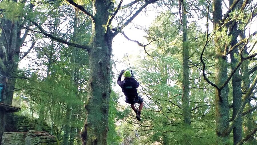 Waitomo Caves 1-Kilometer-Long Zipline Tour - Practical tips for a smoother visit