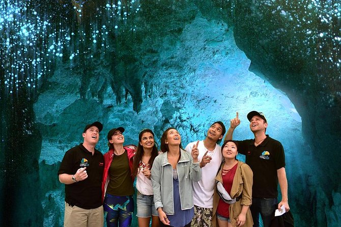 Waitomo Caves & Hobbiton Small Group Tour inc Lunch from Auckland - Hobbiton: a polished two-and-a-half-hour visit