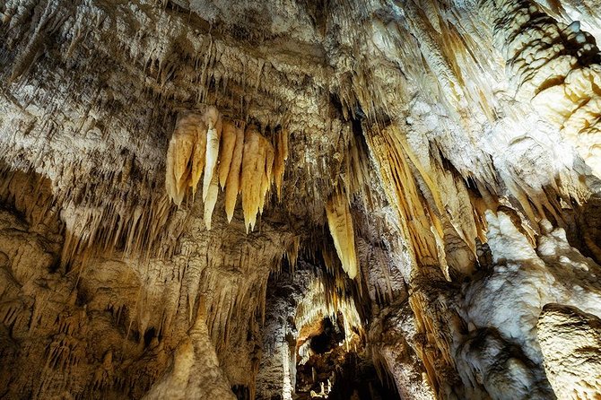 Waitomo Caves & Rotorua - Te Puia Small-Group Tour from Auckland - The 6:00 am departure from Auckland