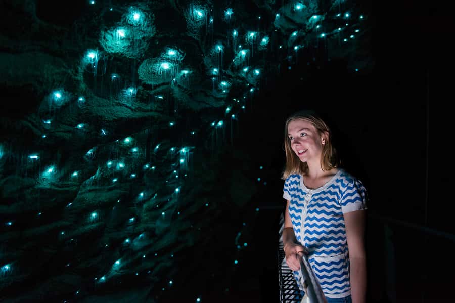 Waitomo Caves: Ruakuri Glowworm Cave Guided Walking Tour - Key points to know before you go