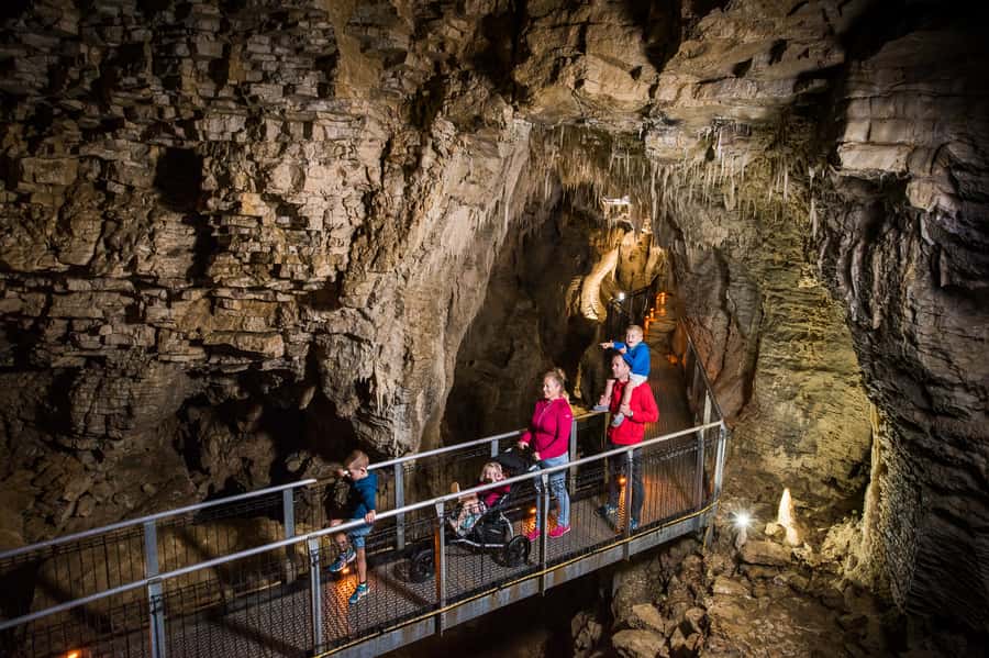 Waitomo Caves: Ruakuri Glowworm Cave Guided Walking Tour - Planning the visit from Auckland, Hamilton, or Rotorua