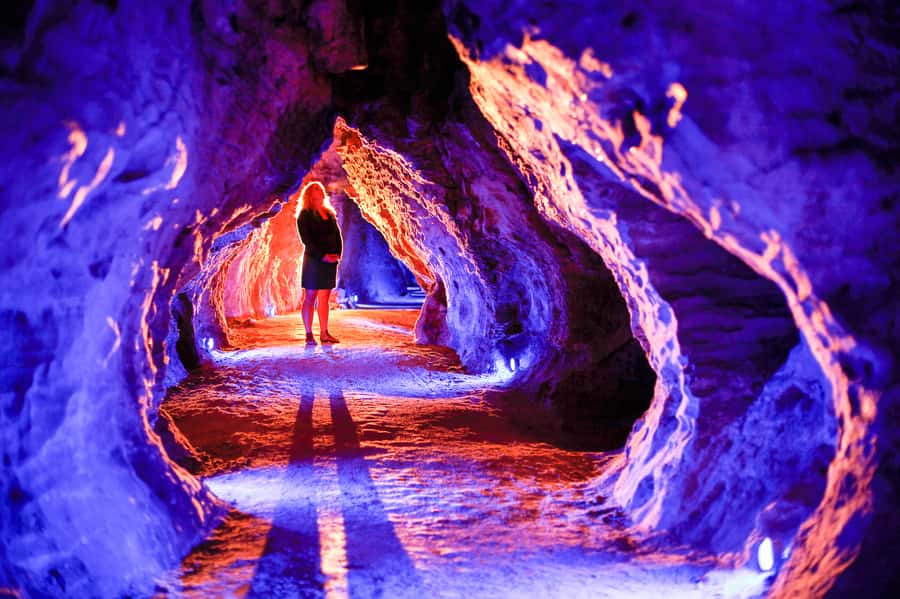 Waitomo Caves: Ruakuri Glowworm Cave Guided Walking Tour - Why Ruakuri Cave deserves your time
