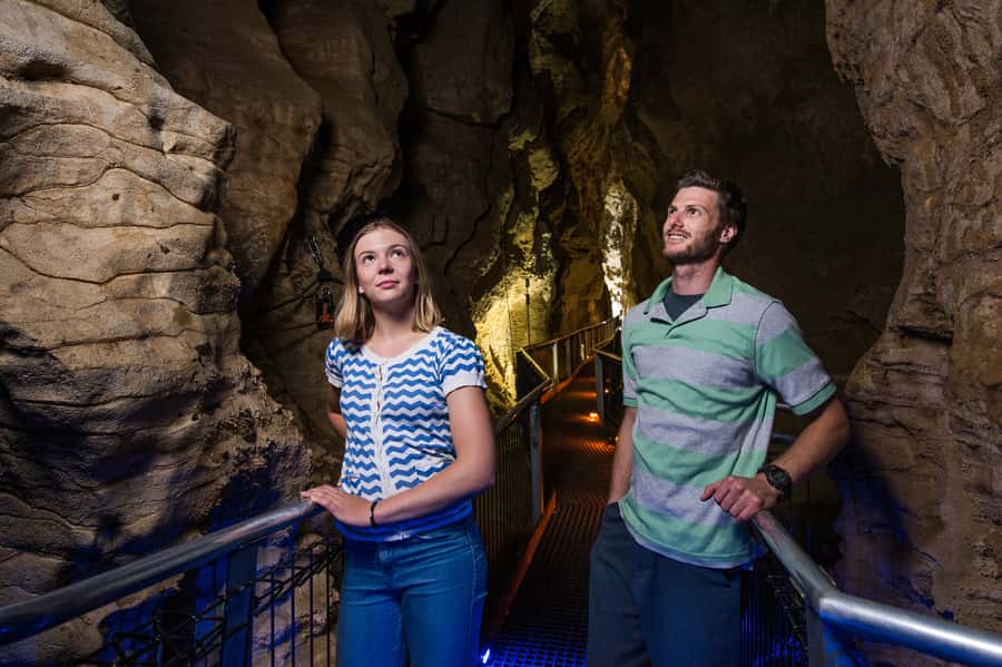 Waitomo Caves: Ruakuri Glowworm Cave Guided Walking Tour - Holdens Cavern and the story beneath Waitomo