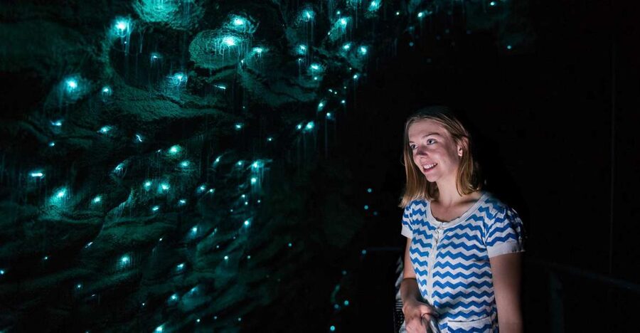 Waitomo Caves: Ruakuri Glowworm Cave Guided Walking Tour - Getting close to the glowworms
