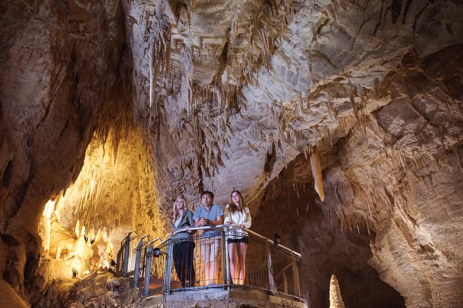 Waitomo Caves: Ruakuri Glowworm Cave Guided Walking Tour - Why the guide makes such a difference