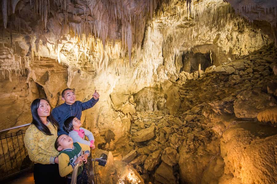 Waitomo Caves: Ruakuri Glowworm Cave Guided Walking Tour - The $69 price and what you receive