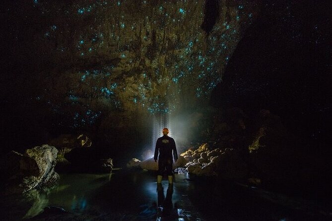 Waitomo Glow Worm Caves - Key points to know before booking